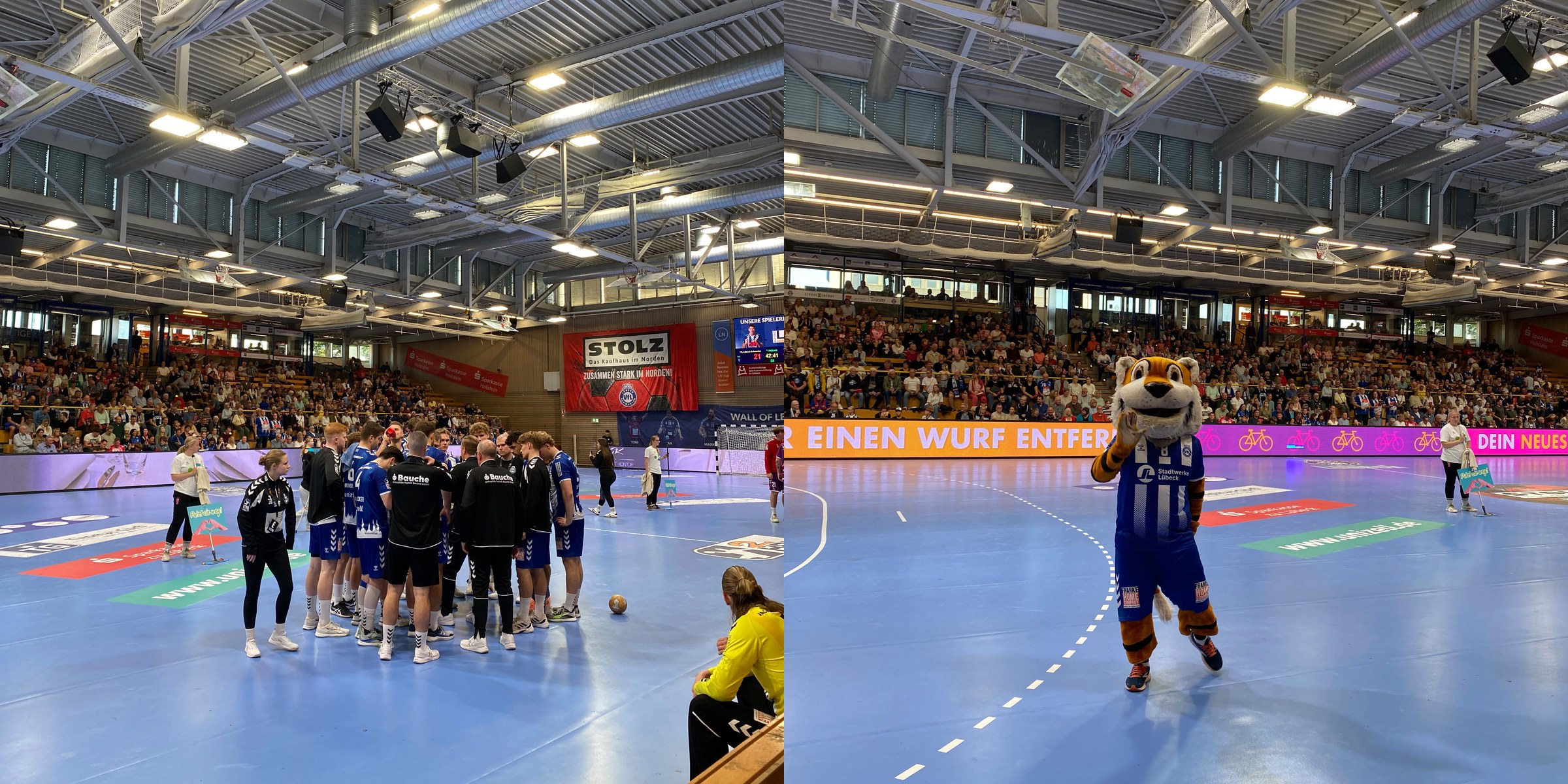 Mannschaftskreis des VfL Lübeck-Schwartau auf dem Hallenboden der Hansehalle, daneben Maskottchen Toby Tiger vor den vollen Rängen